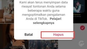 Hapus-TikTok.