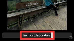 invite-collaborators.