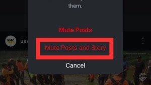  mute-post-and-story