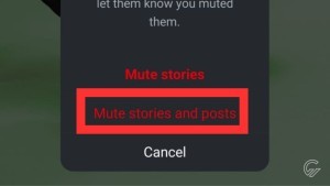  mute-stories-and-post