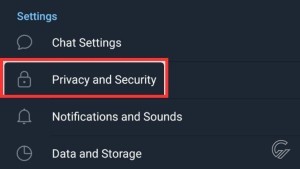  telegram-privacy-security