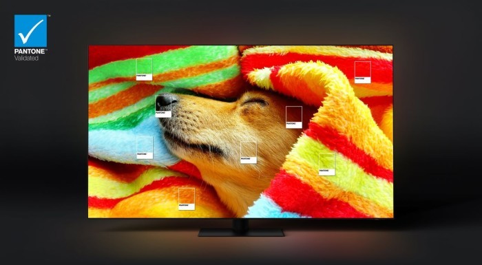 Samsung Neo QLED 8K Pantone Validated