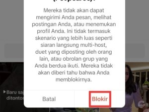 blokir-tiktok-1.