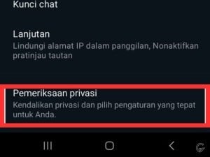 pemeriksaan-privasi.