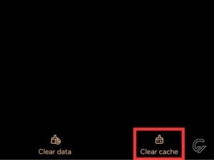 clear-cache