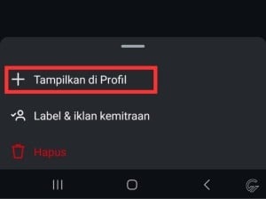 Tampilkan-di-profil.