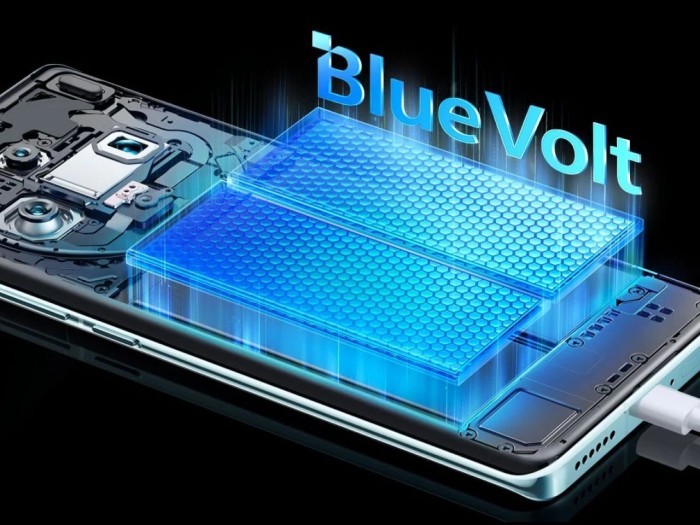 vivo BlueVolt Battery