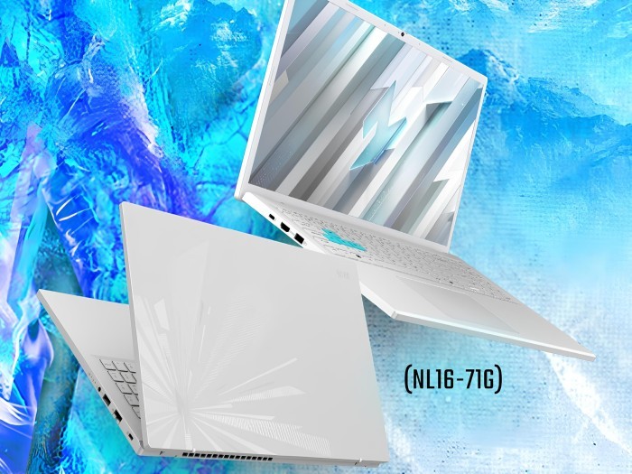 Acer Nitro Lite NL16-71G (1)