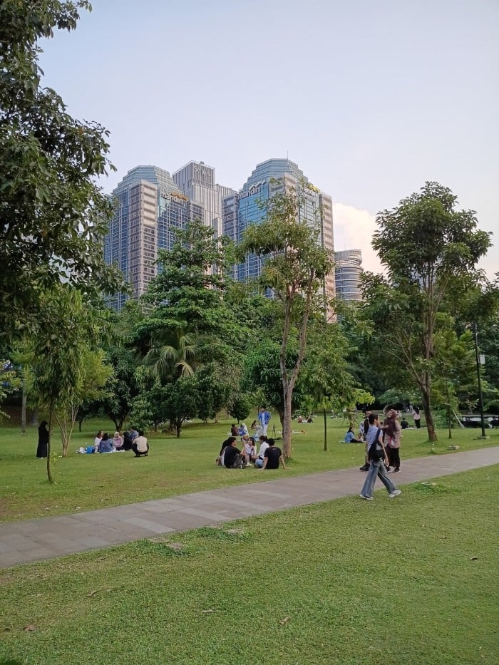 Samsung-Galaxy-A06-5G-Taman