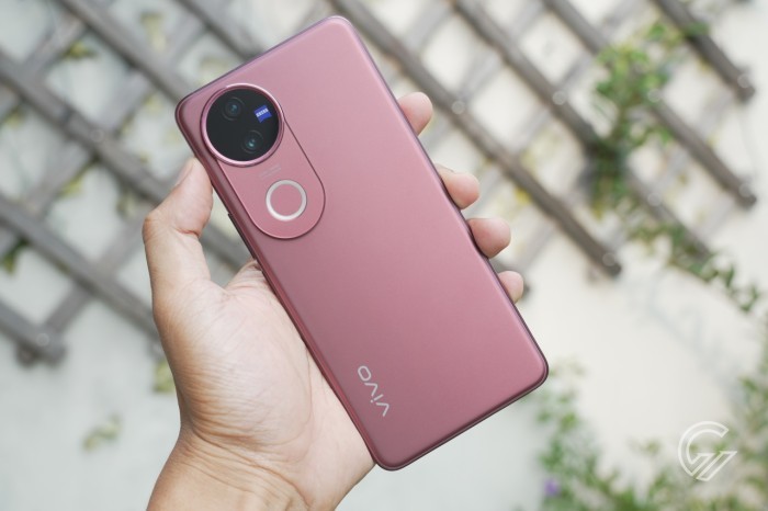 vivo V50