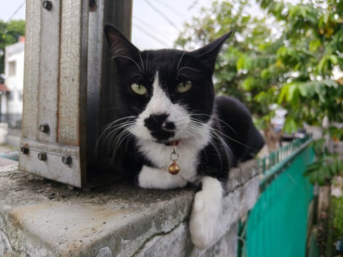 realme GT 7T Foto Kamera (3)