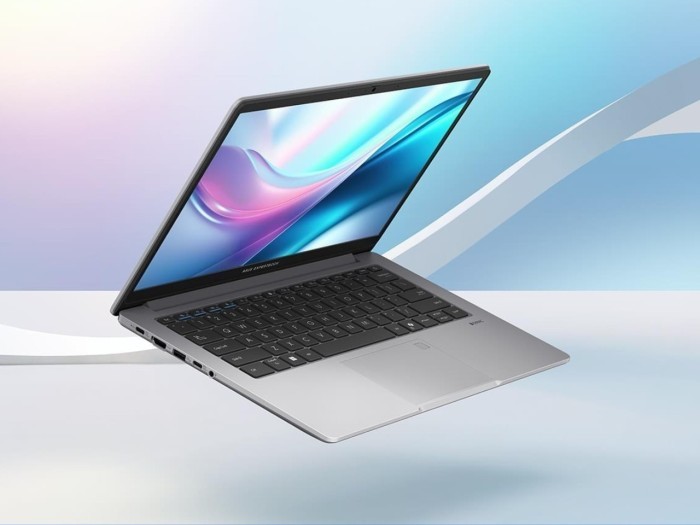 Laptop Ryzen 5 - ASUS ExperBook P1