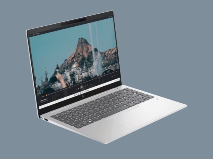 Laptop Ryzen 5 - HP Pavilion Plus 14