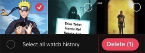 TikTok - Hapus Riwayat - Watch History - 3