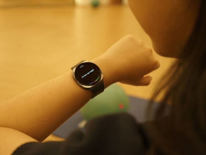 Galaxy Watch8 Gemini