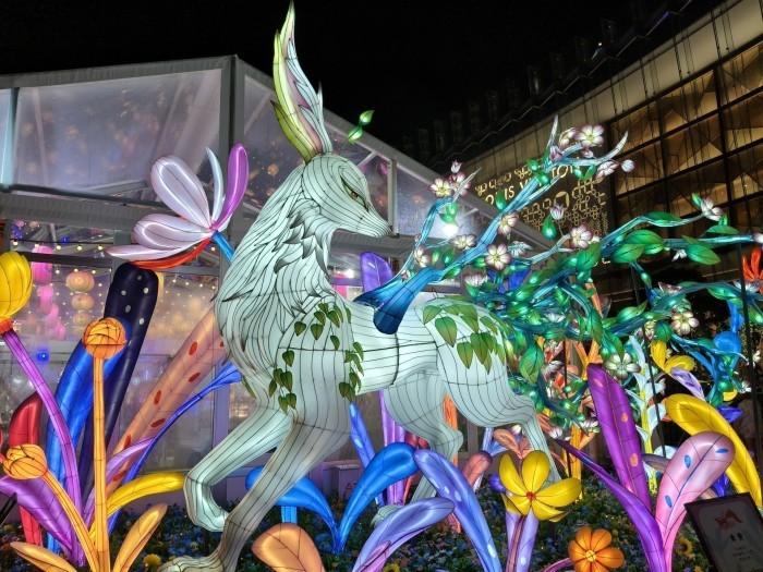 OPPO Reno14 5G - Hasil Foto Kamera Utama