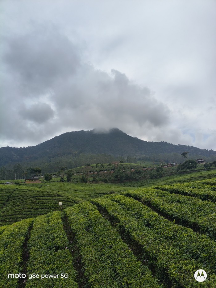 Moto-G86-Power-Kebun-1xZoom_1920x1440