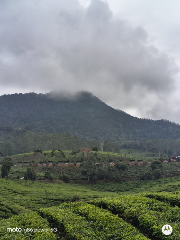 Moto-G86-Power-Kebun-2xZoom_1920x1440