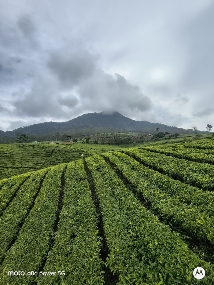 Moto-G86-Power-Kebun-Ultrawide_1920x1440