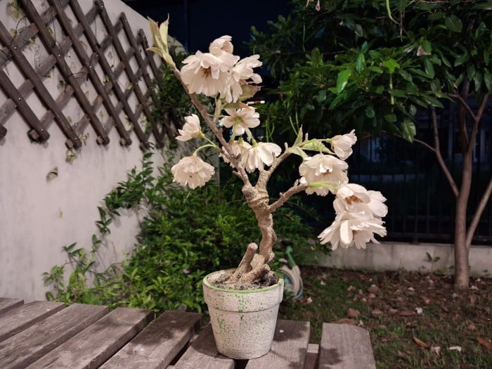Samsung Galaxy A17 5G - Hasil Foto Night Mode