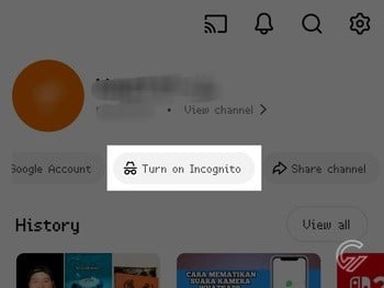 Cara Mengatur Mode Penyamaran YouTube 2