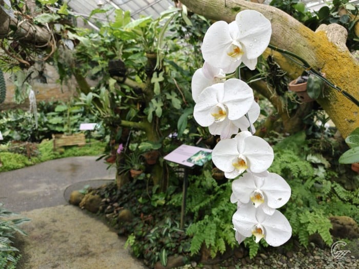 OPPO Find X9 Pro - Hasil Foto