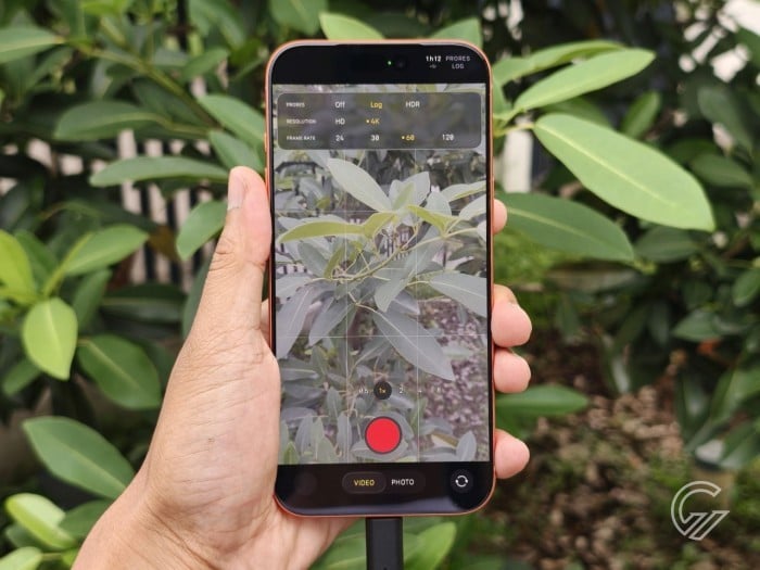 SanDisk Creator Phone SSD