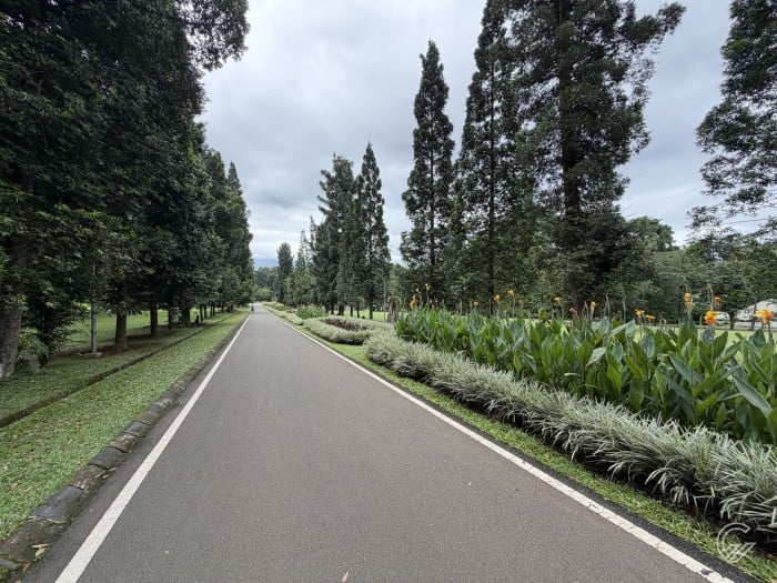 iPhone 17 Pro Max - Hasil Foto