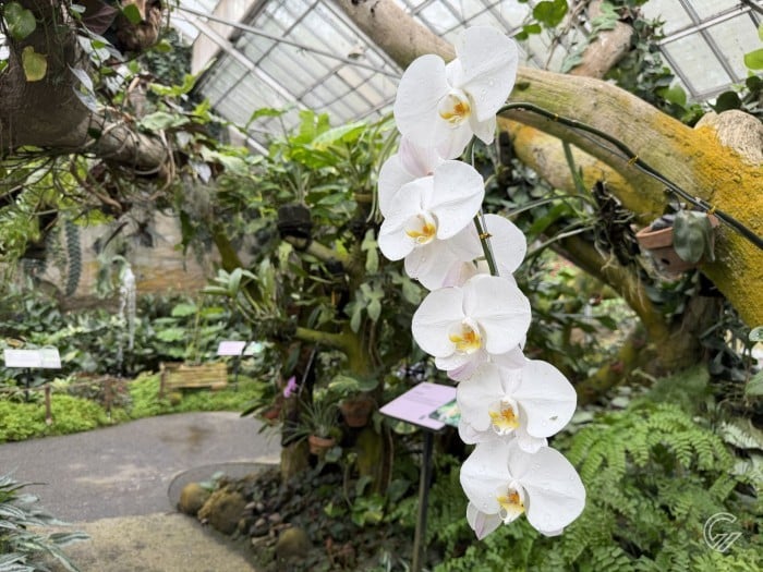 iPhone 17 Pro Max - Hasil Foto