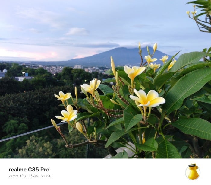 realme C85 - Hasil Foto
