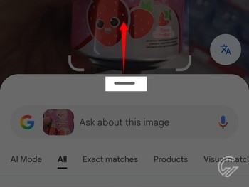 Cara Search Google Menggunakan Foto 4