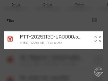 Cara Download VN WhatsApp Jadi Audio 13