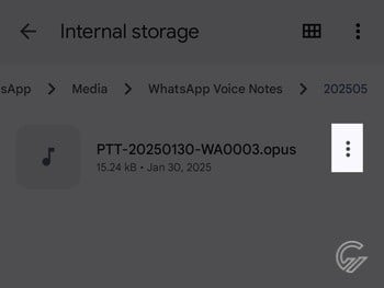Cara Download VN WhatsApp Jadi Audio 9