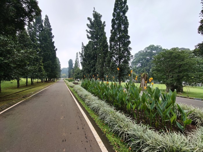 REDMAGIC 11 Pro - Hasil Foto