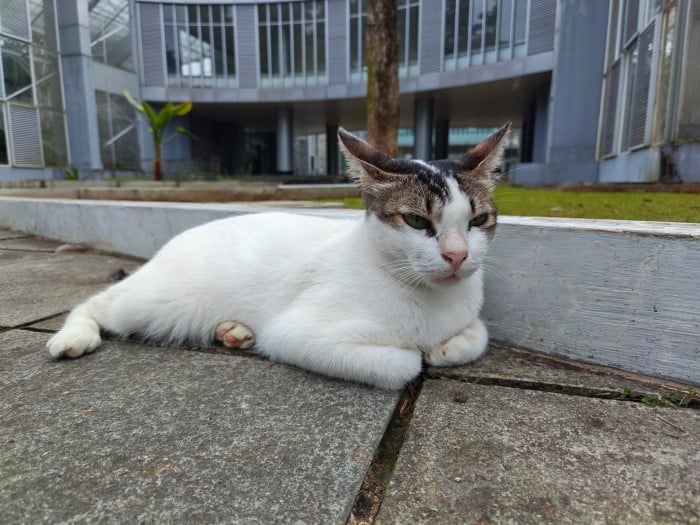 REDMAGIC 11 Pro - Hasil Foto