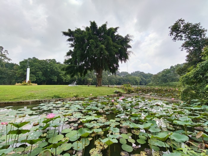 REDMAGIC 11 Pro - Hasil Foto