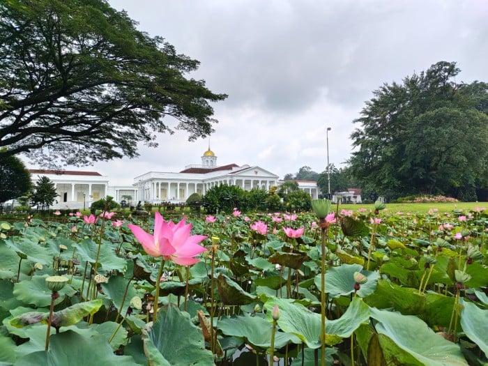 REDMAGIC 11 Pro - Hasil Foto