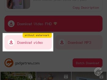 Cara Download Video TikTok Tanpa Watermark 9