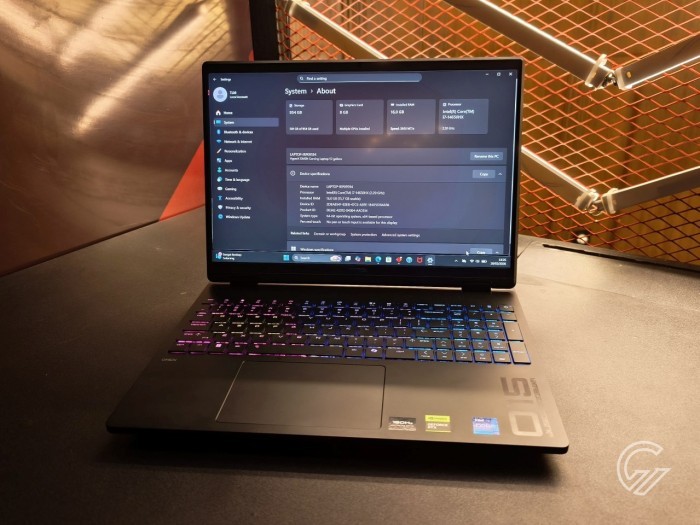 HP HyperX OMEN 15 - Display