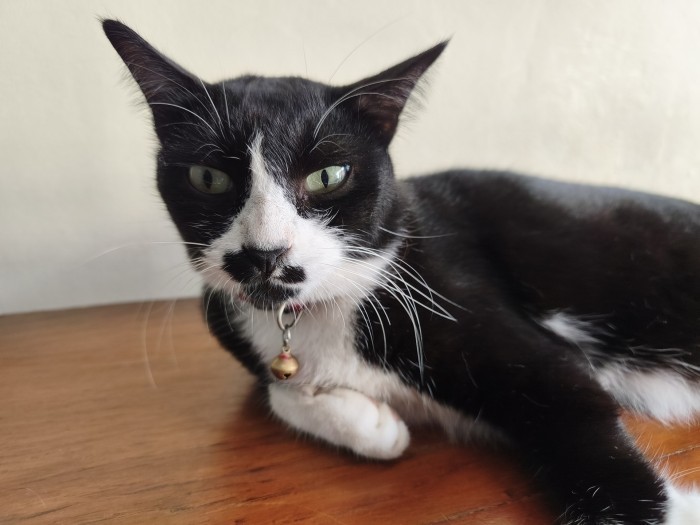 Hasil Kamera Belakang REDMI Note 15 Pro 5G Auto (1)