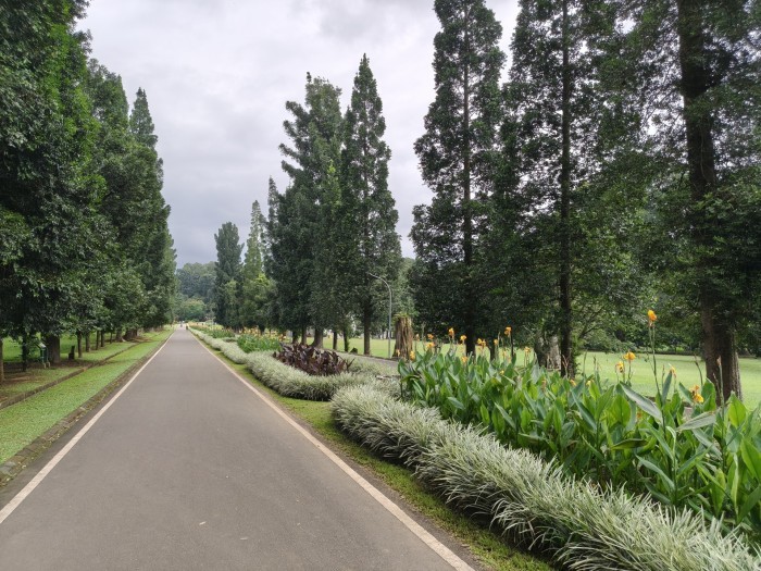 OPPO Reno15 Pro Max - Hasil Foto