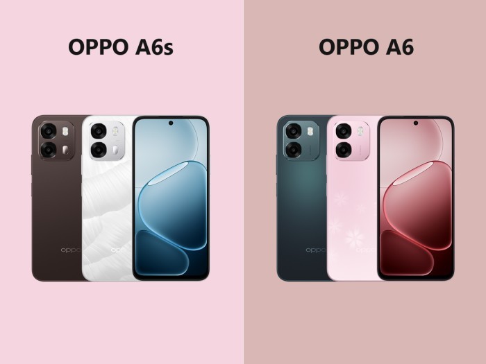 OPPO A6s vs OPPO A6