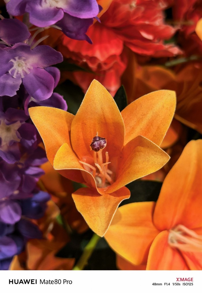 HUAWEI-Mate-80-Pro-KembangKuning