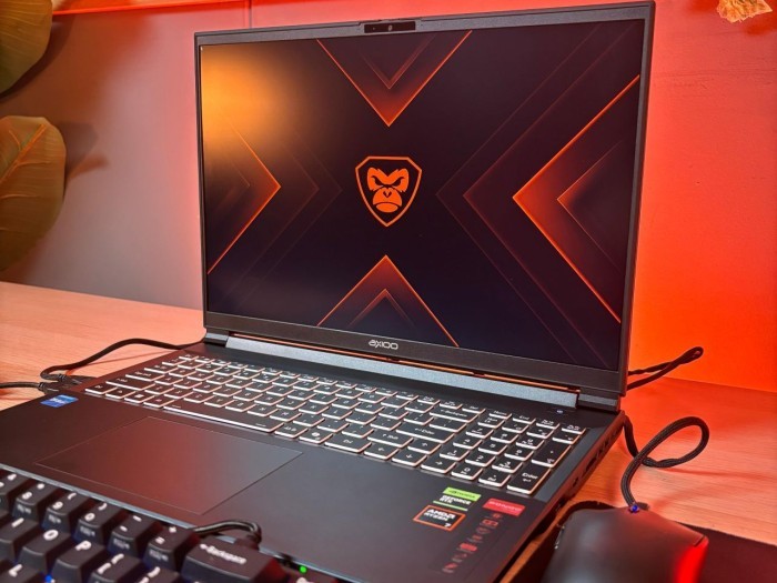 Rilis Axioo Pongo AMD Series