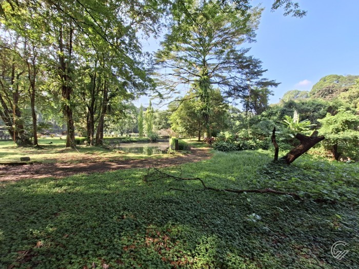 Samsung Galaxy A57 5G - Hasil Foto