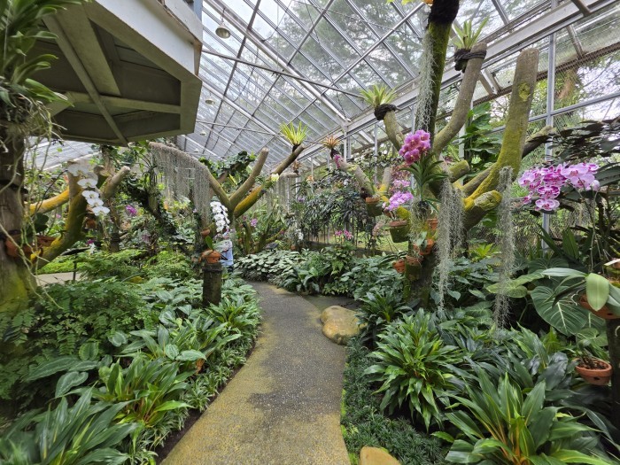 Samsung Galaxy S26 Ultra - Hasil Foto