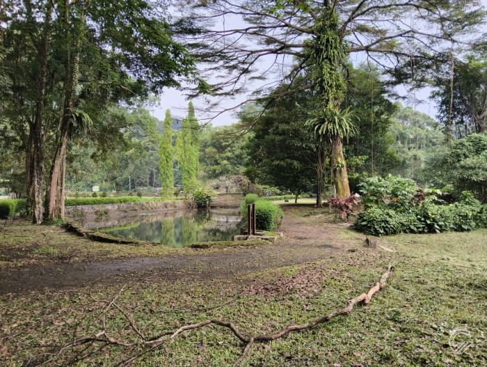 nubia Neo 5 GT - Hasil Foto
