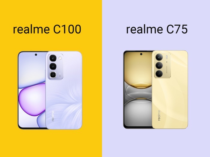 realme C100 vs realme C75