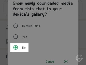 Cara Agar Foto WhatsApp Tidak Tersimpan di Galeri 8