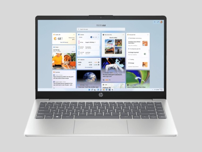 Laptop Programer - HP 14